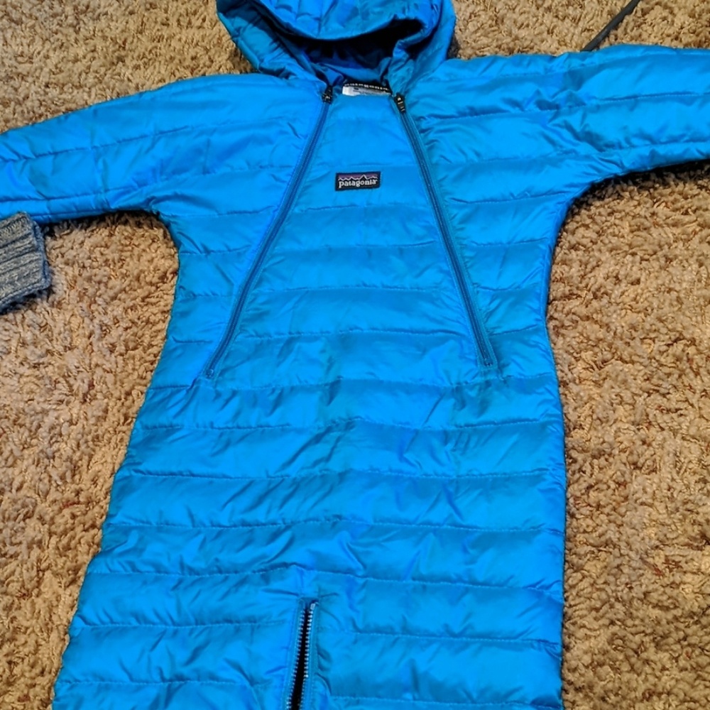 Patagonia Bunting
